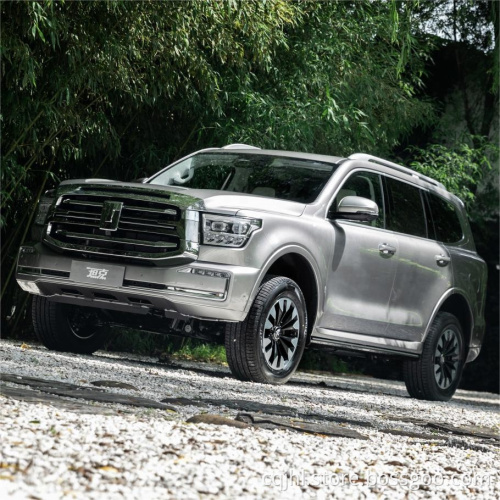 2023 nel serbatoio di serie 500 Grande parete 5 sedili 5 porte SUV di grandi dimensioni SUV di grandi dimensioni Serbatoio da parete 500 Porta a oscillazione a benzina Nuova serbatoio dell&#39;auto 500